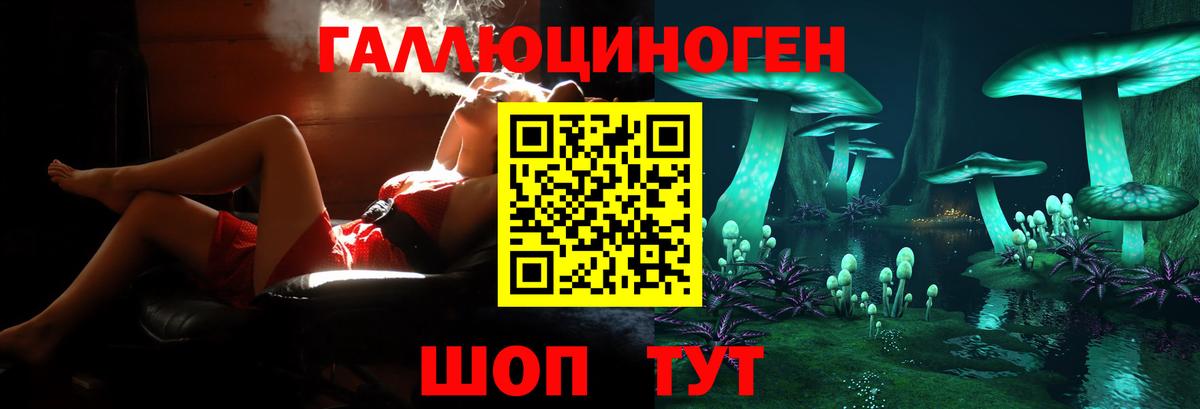 Ипатово  Псилоцибиновые грибы мицелий  Псилоцибиновые грибы Psilocybine cubensis  купить   Вход с VPN 